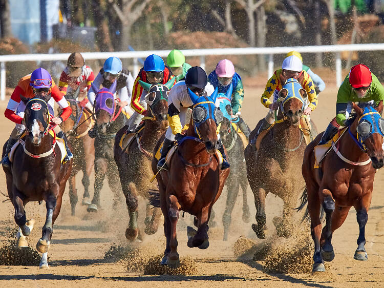 Hialeah Park Racing and Casino