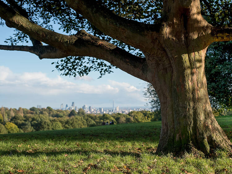 Hampstead circular walk