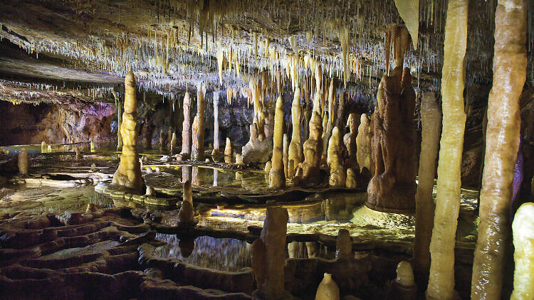Stalagmites and Stalactites at Buchan Caves Reserve