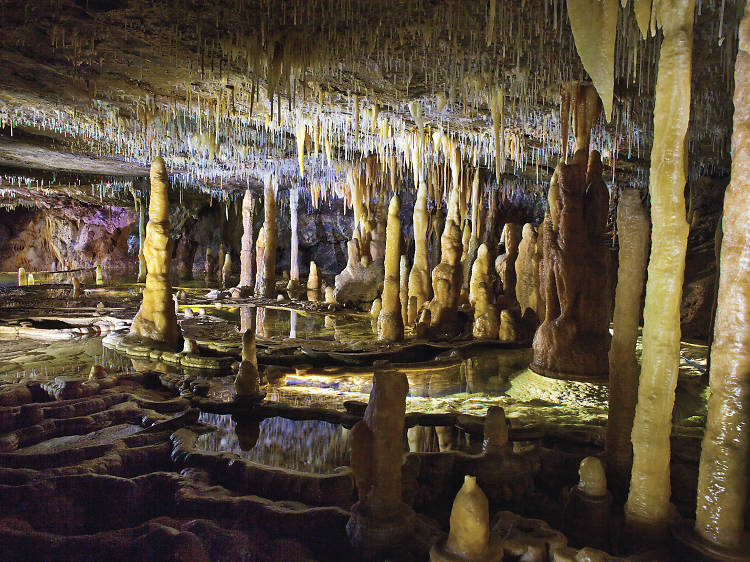 These incredible limestone caves in regional Victoria are reopening to visitors