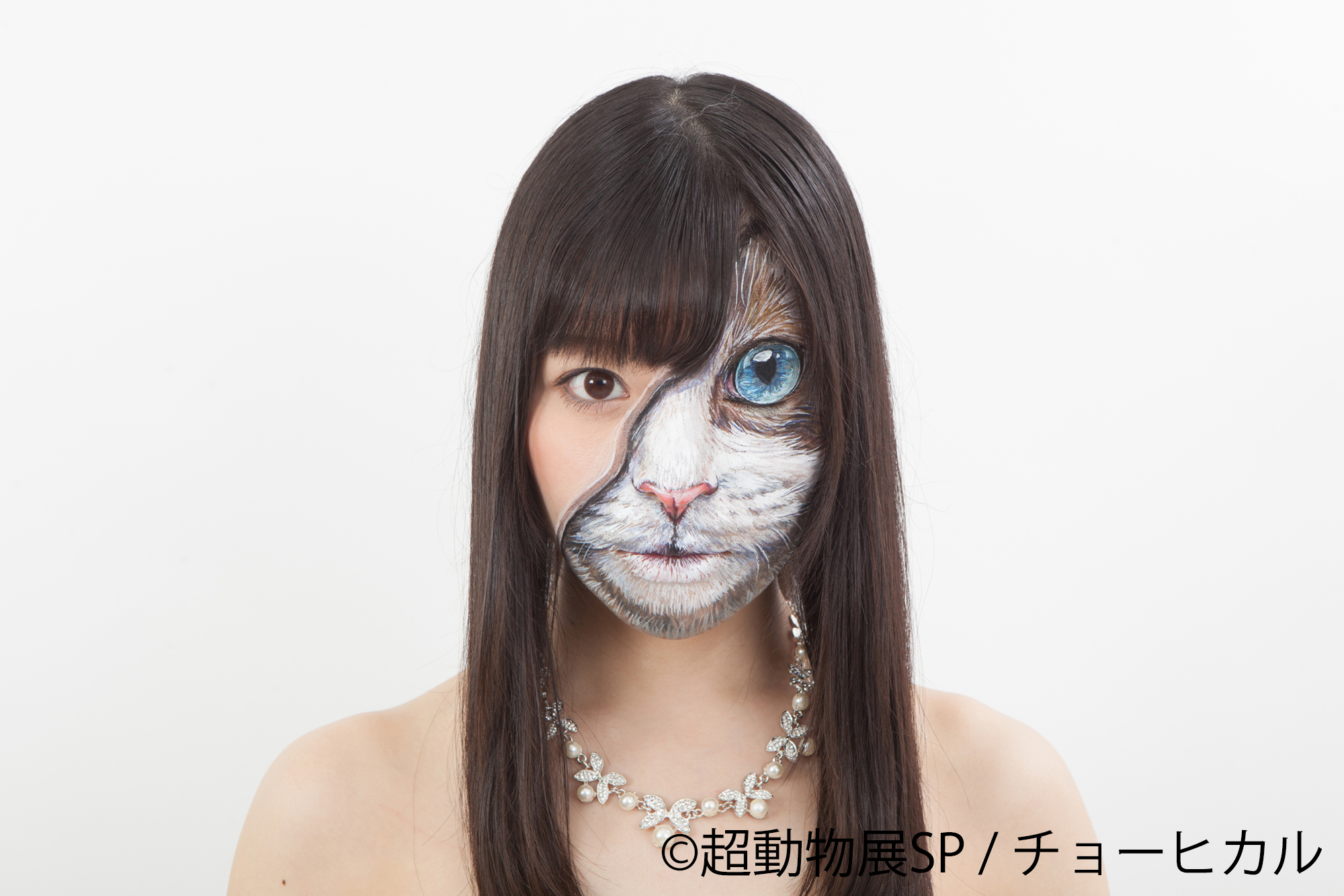 チョーヒカル個展 超動物展SP