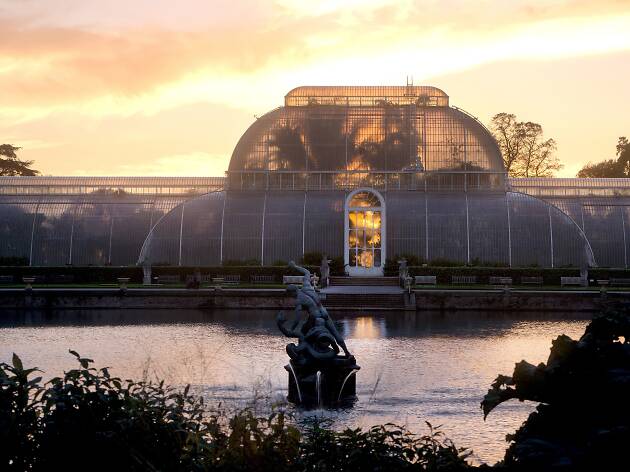 The Palm House The Palm House