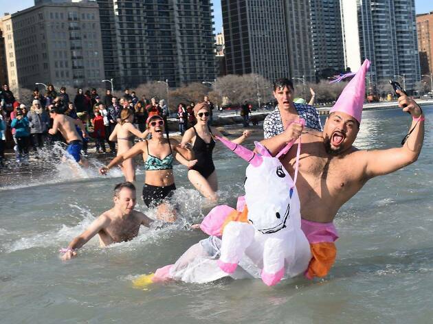 Chicago Polar Bear Plunge Chicago Polar Bear Plunge