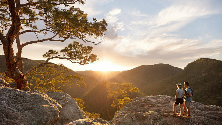 Take in the view of the Vale of Avoca Lookout