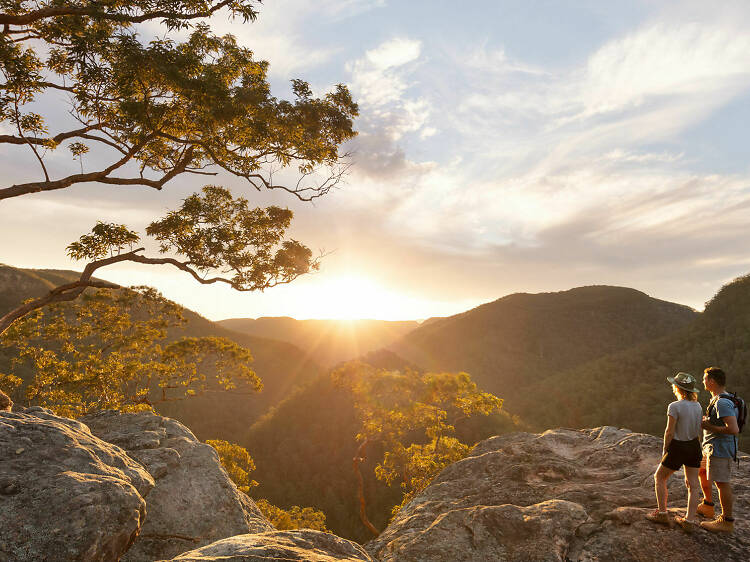 Take in the view of the Vale of Avoca Lookout