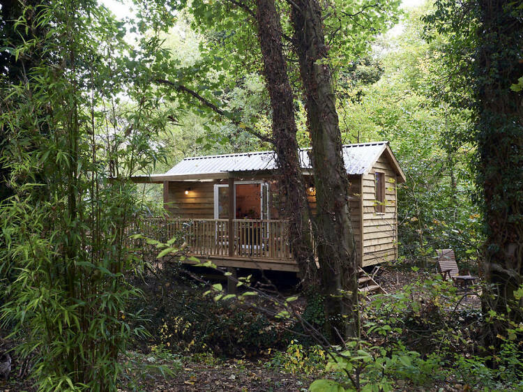 Chiltern Yurt Retreat, Buckinghamshire