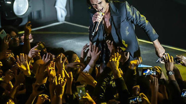 Nick Cave