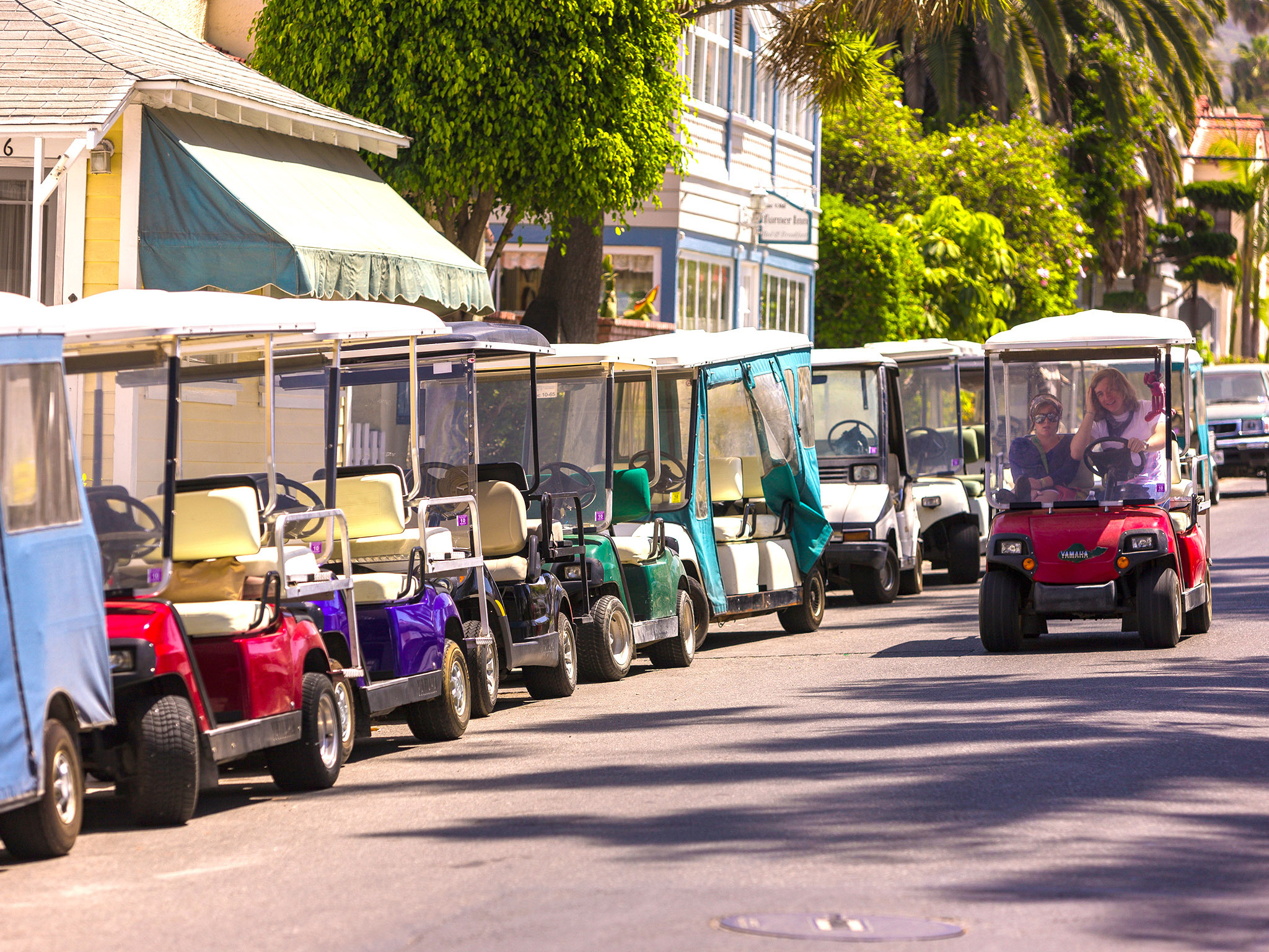 Catalina Golf Cart Rental All Day Golf cart help