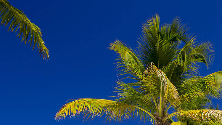 Playa Las Tumbas