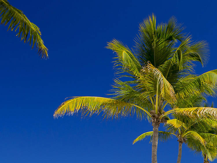 Playa Las Tumbas