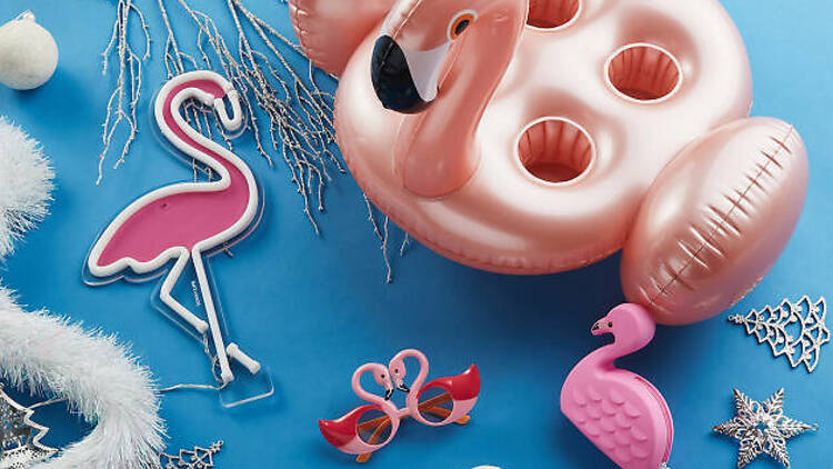 Flamingo on the go