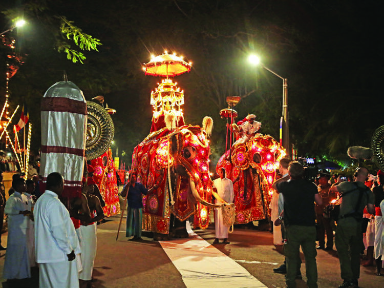 Witness the grandeur of the Kelaniya Duruthu Perahera 