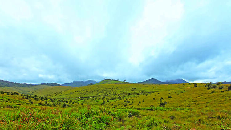 Witness the beauty of Horton Plains