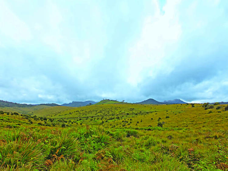 Witness the beauty of Horton Plains