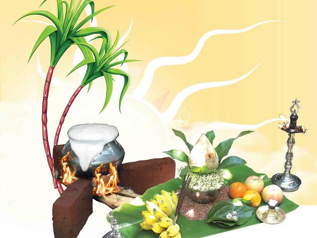 Thai Pongal 'The Festival of Harvest' Thai Pongal 'The Festival of Harvest'