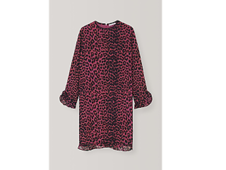 Carnivora Leopard Love for Leopard Mini Dress