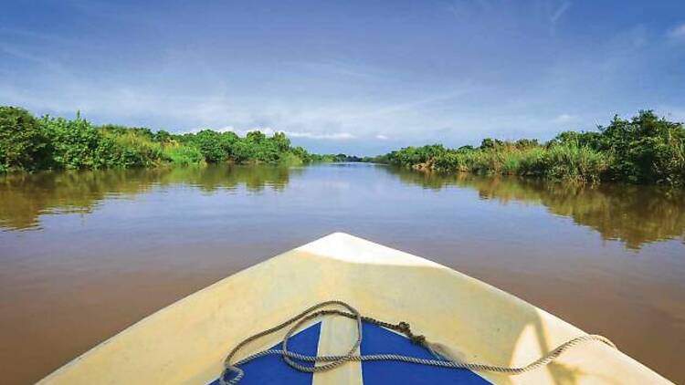 1. Muthurajawela Wetlands