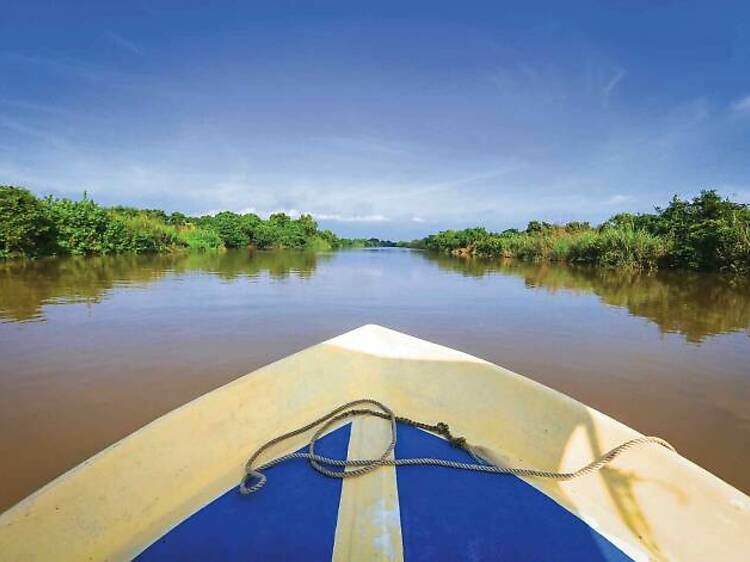 1. Muthurajawela Wetlands