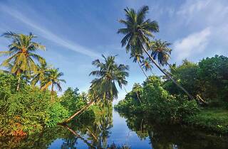 Five Awesome Day Trips From Colombo