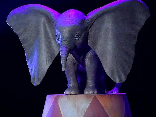Dumbo Dumbo