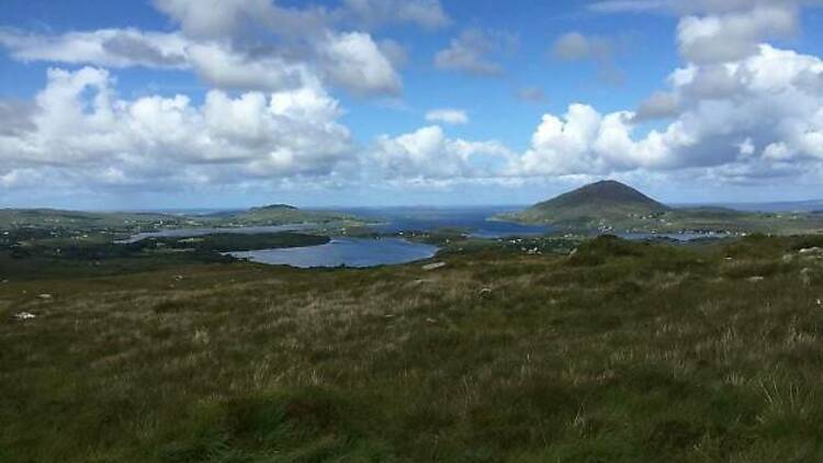 Find the ponies in Connemara National Park