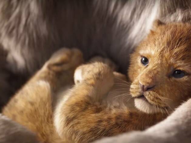 El rey león El rey león
