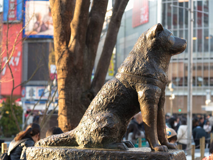 5pm: Say hi to Hachiko at Shibuya Station