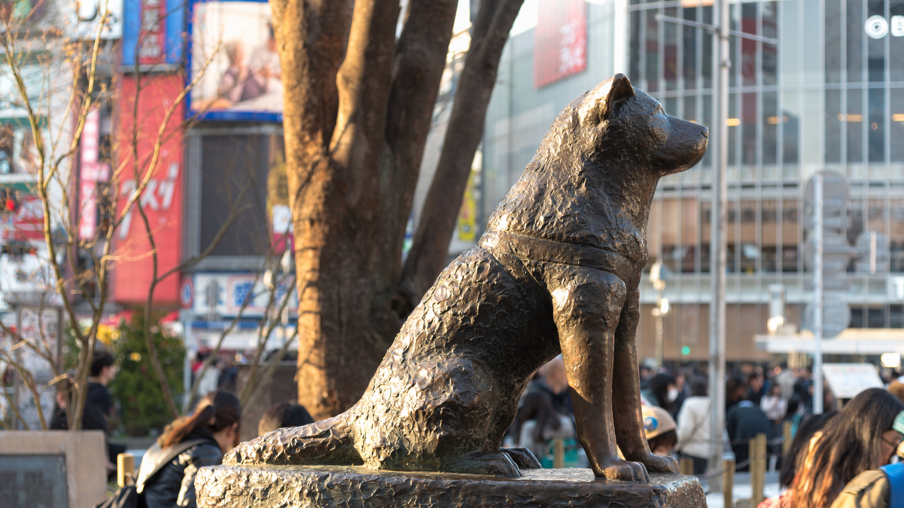 10 Things You Didn t Know About Hachiko Japan s Most Loyal Dog