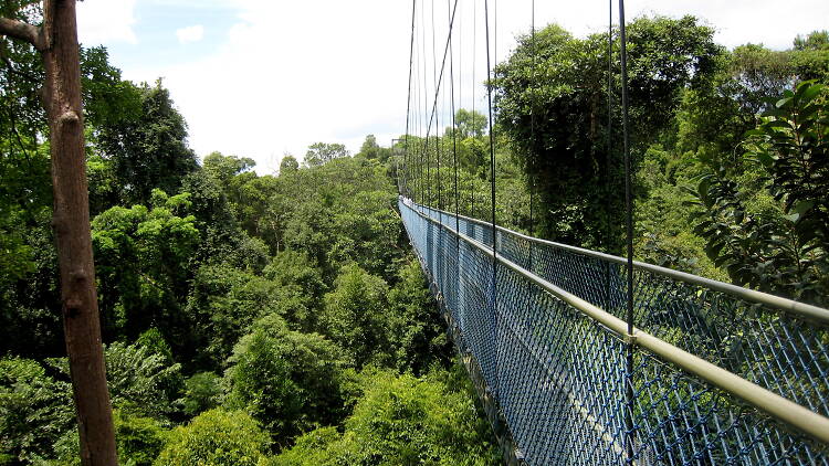 The best hiking trails in Singapore