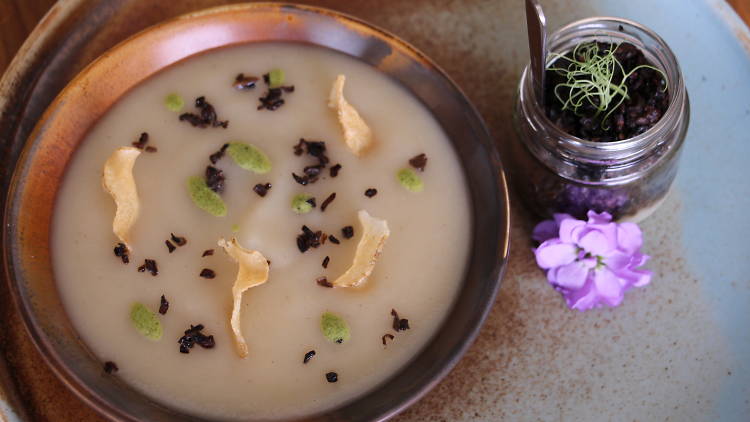 Jerusalem Artichoke Soup - By Chef Shimon Maman, Olive Leaf