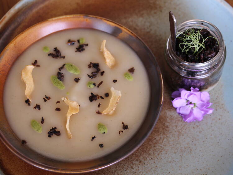 Jerusalem Artichoke Soup - By Chef Shimon Maman, Olive Leaf