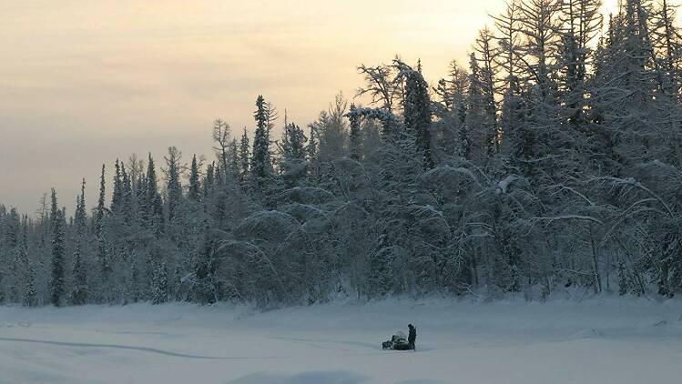 Happy People: A year in the taiga