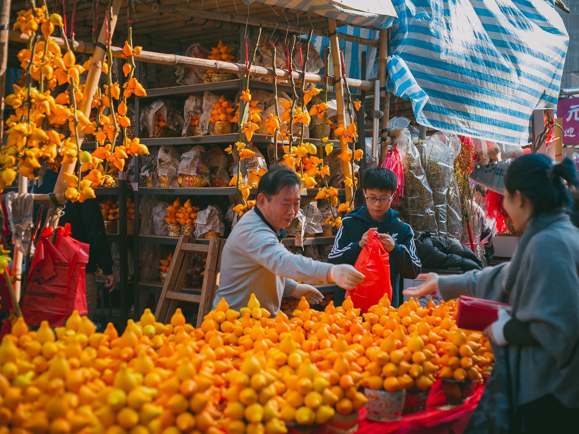 Chinese New Year Events in Hong Kong 2025