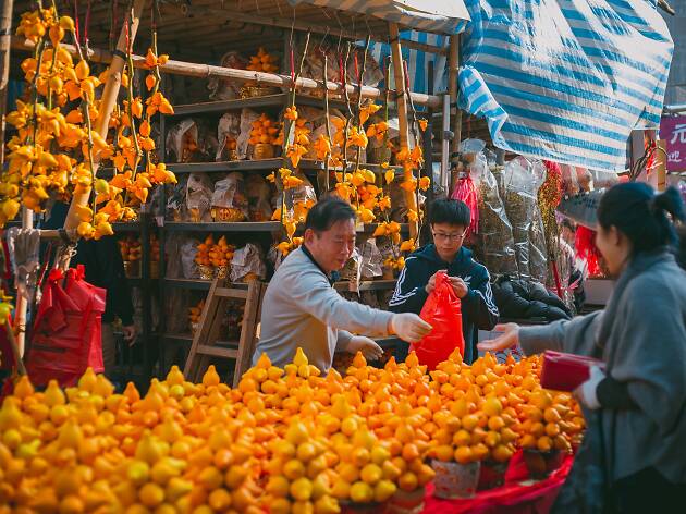 Chinese New Year Flowers - Flower