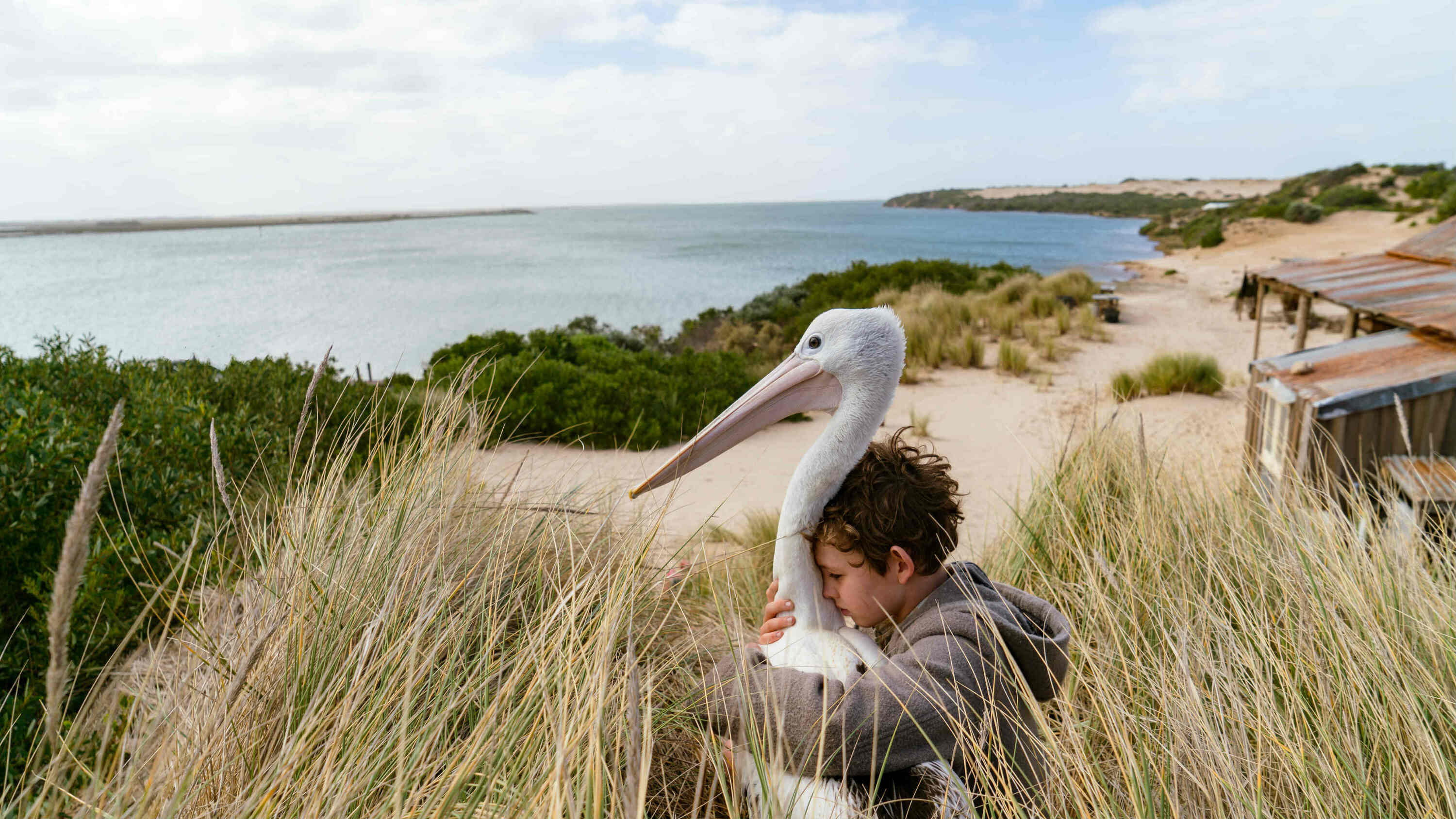 Storm Boy | Film review