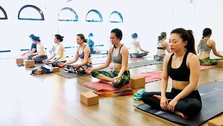 Yoga Movement - Novena: Read Reviews and Book Classes on ClassPass