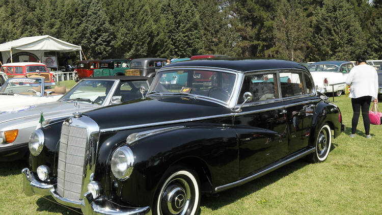 Gala Internacional del automóvil 2019 en Xochitla