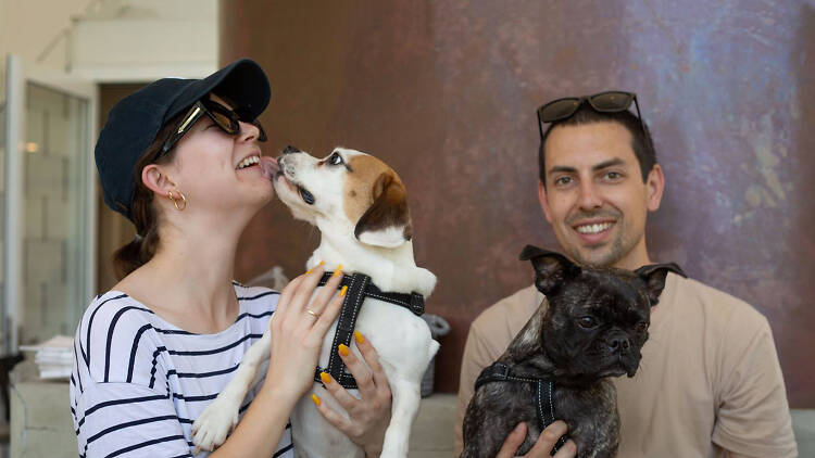 People holding small dogs.