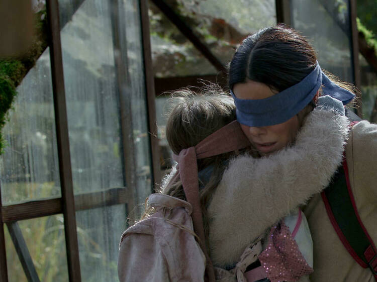 bird box