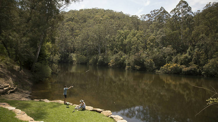 Camp, kayak and fish at Colo Riverside Park