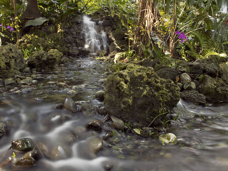Explore the lush grounds at Fairchild Tropical Botanic Garden