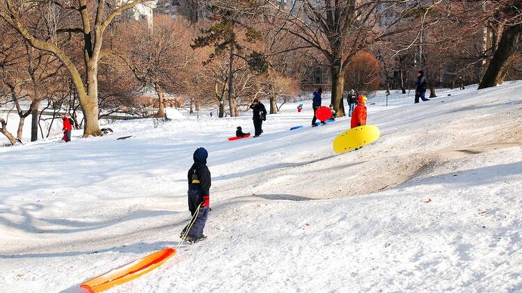 Central Park, Pilgrim Hill | Manhattan