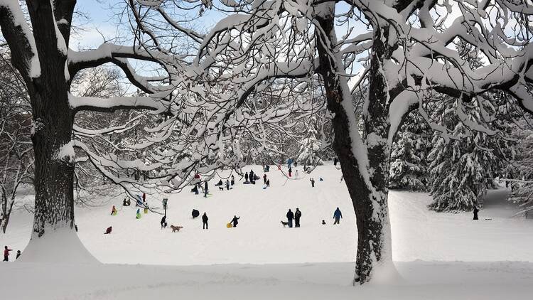 Central Park, Cedar Hill | Manhattan