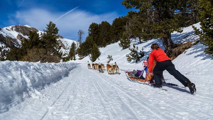 Emociones en la nieve 