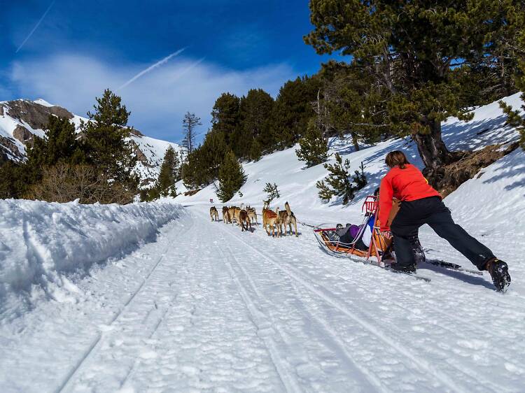 Emociones en la nieve 