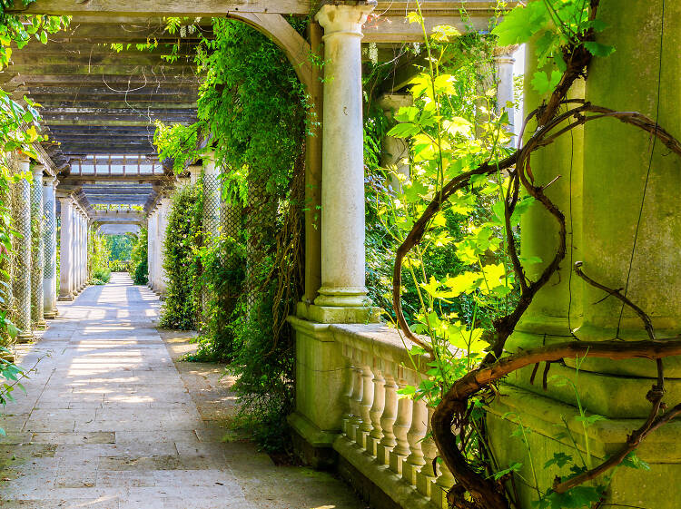 Peruse the pergola at Hampstead’s Hill Garden