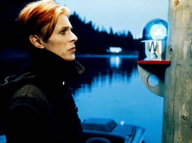 The man who fell to Earth The man who fell to Earth