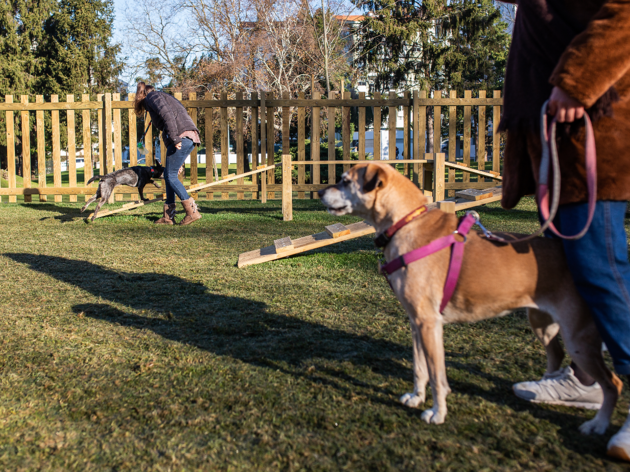 Parque canino Parque canino