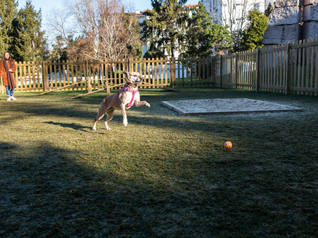 Parque canino Parque canino
