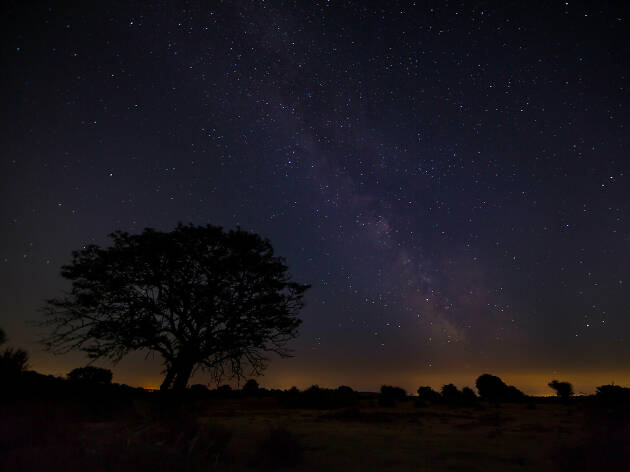 The New Forest, stargazing, Hampshire The New Forest, stargazing, Hampshire